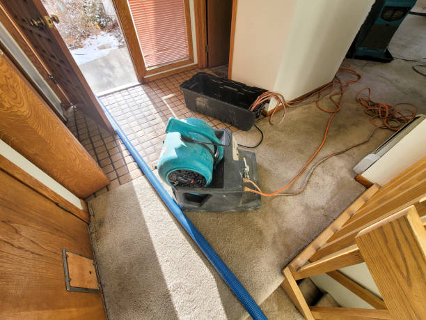Best Water damage contractors near me  in North Crossett, AR