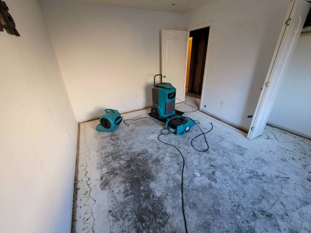 Best Carpet water damage restoration  in North Crossett, AR