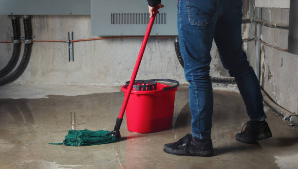 Best Water damage restoration mold remediation  in North Crossett, AR