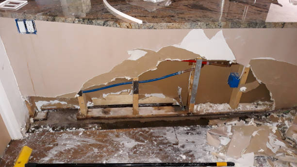 Best Mold removal after water damage  in North Crossett, AR