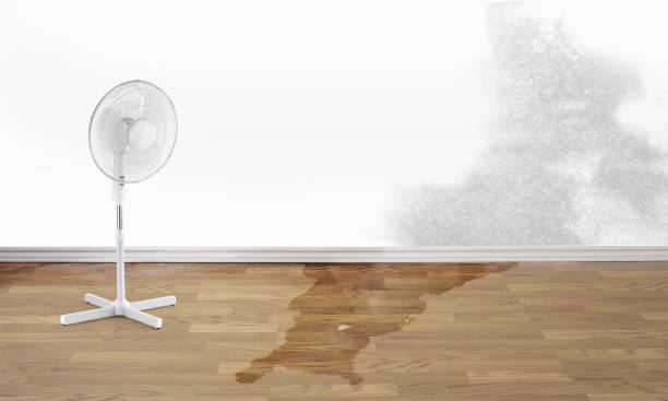 Best Emergency water damage restoration  in North Crossett, AR