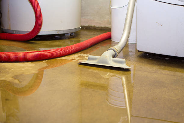 Water damage restoration mold remediation in AR