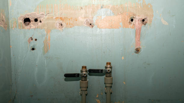 Best Water damage cleanup near me  in North Crossett, AR
