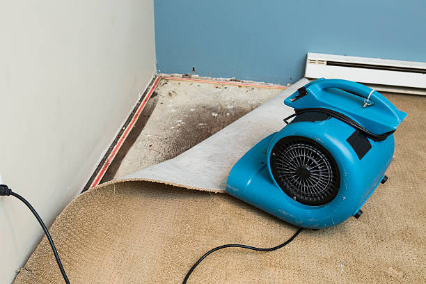 Water damage restoration insurance claims in AR